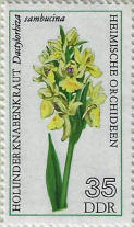 stamp