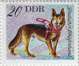 stamp