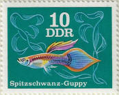 stamp