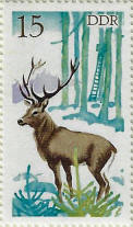 stamp