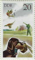 stamp