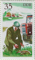 stamp