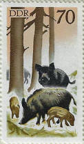 stamp