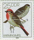 stamp