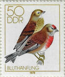 stamp