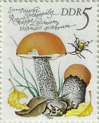 stamp