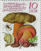 stamp