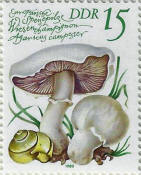 stamp