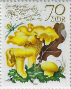 stamp