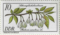 stamp