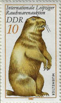 stamp