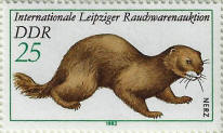 stamp