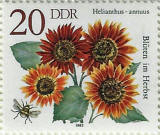 stamp
