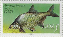 stamp
