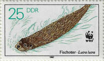stamp