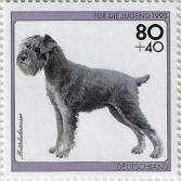 stamp